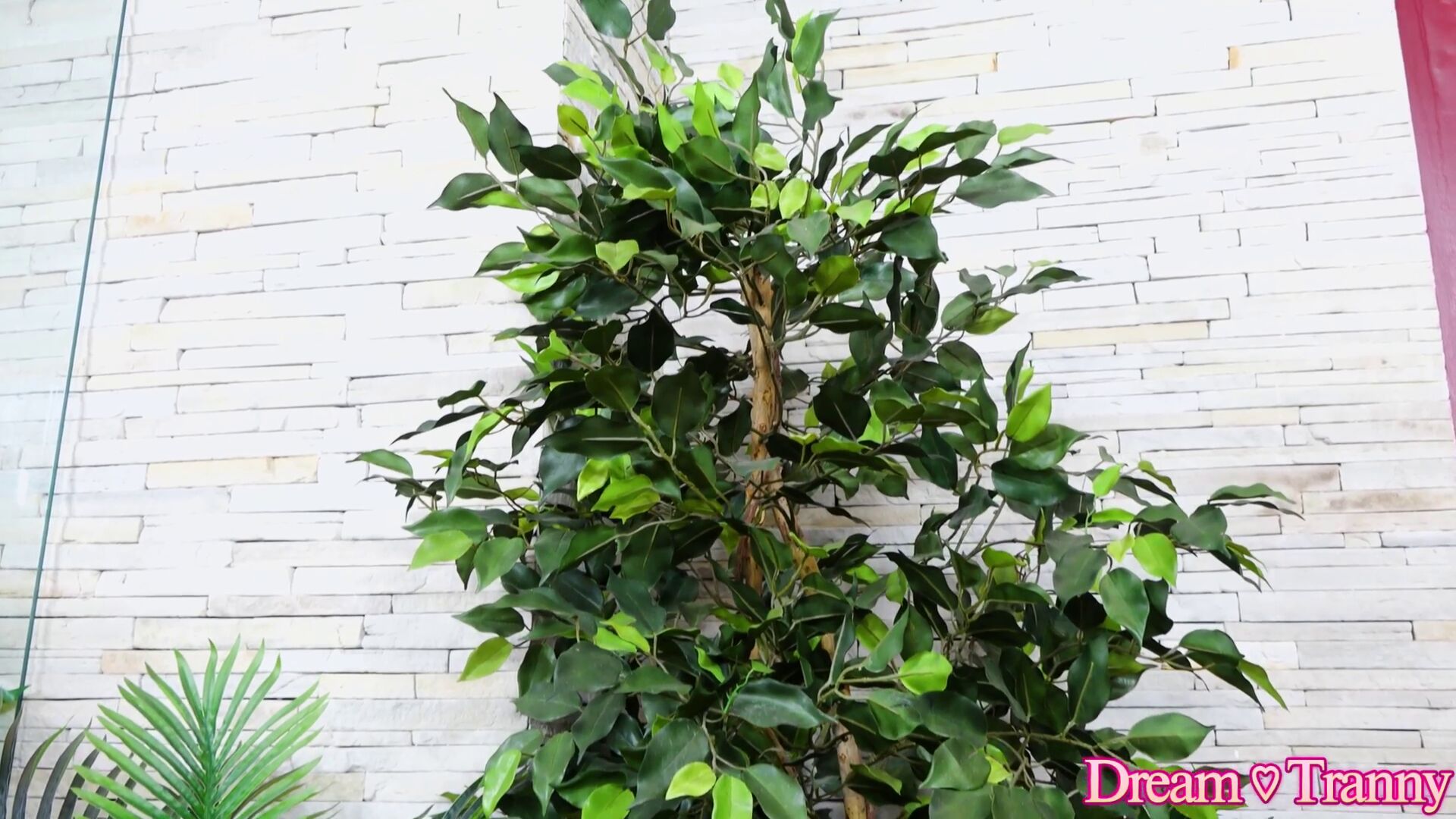 Blog image 10